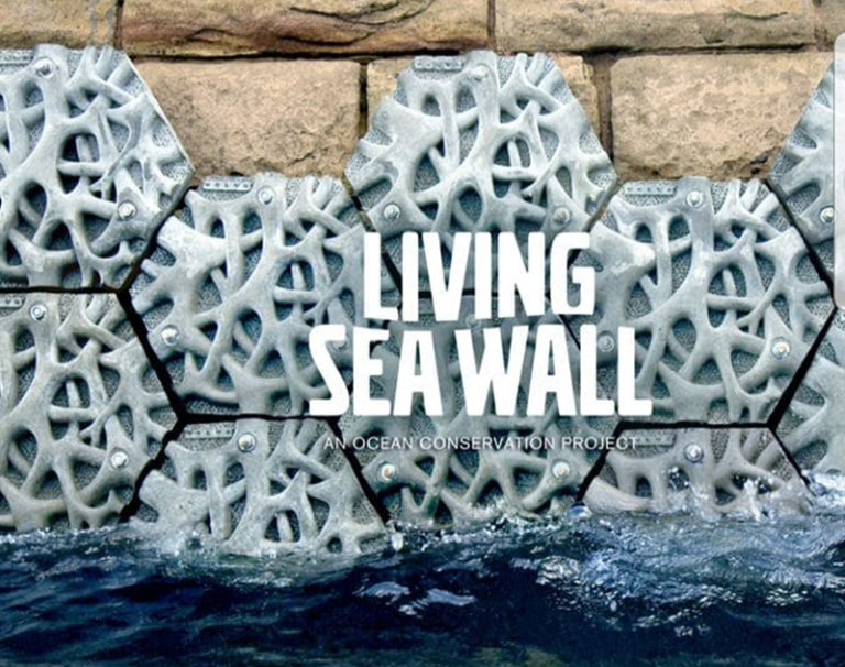 Volvo สร้างนวัตกรรมใหม่ Living Seawall เพื่อช่วยระบบนิเวศน์ทางทะเล | SD ...